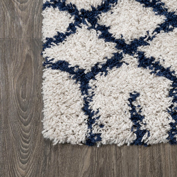 Algaida Moroccan Diamond Shag Area Rug